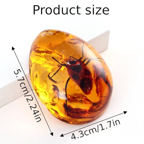 Image of 6PCS Amber Fossil Insect, Amber Fossils with Insects Samples Stones Crystal Samples for Home Decorations Collections Oval Pendants Pendant Science Educational (Amber Pendant) (B stely)