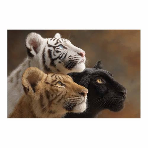 Toile animaux trio des chats sauvages pour déco salon moderne