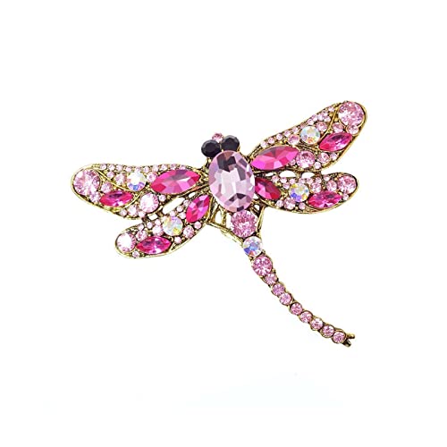 Grande broche insecte libellule CFWSHJ accessoire de manteau chic