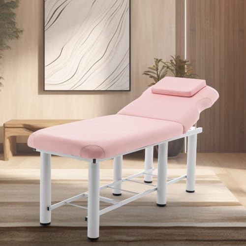 Professional Massage Table Bed Portable, Lash Bed, Backrest Adjustable, Removable Headrest, Foldable Salon Tattoo Bed,Bottom Shelf Storage, Memory Foam Layer Massage Tables (Pink New)