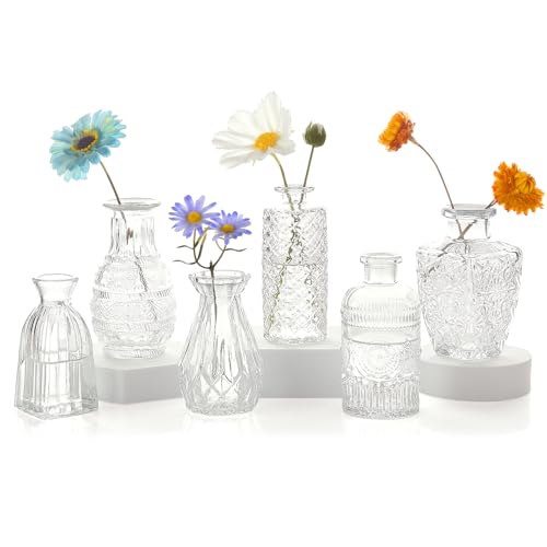 6 Stück Kleine Klarglas-Budenvasen, Vintage Mini Blumenvasen für Hochzeit, Tischdekoration, Mittelstücke für Zuhause & Feste