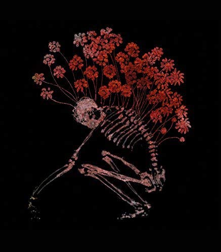 Folk Aesthetic 1996-2006