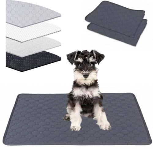 Lifetips ViEU[iMiniature Schnauzerj 􂦂ybgV[c ybgV[c 􂦂 2Zbg ~ V[cCh V[g L ۂƐ􂦂 ~}bg ld\ Rh~  ~ ^ ^  