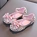 Girls Dress Shoes Ballerina Flats Shoes Toddler Mary Janes Wedding Party Flowy Low Heels Shoes Pink