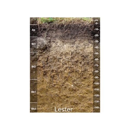 A Soil-bration for State Soils (Lester Loam MN State Soil)