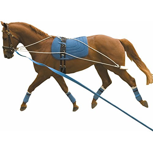 Pessoa Horse Lunging System- Horse Training Equipment