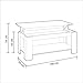 Mesa Centro con revistero, Mesa elevable, mesita Mueble Salon Comedor Acabado en...
