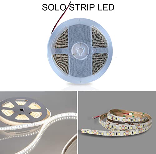 Superia Striscia LED 5 Metri SMD2835 24V/38W