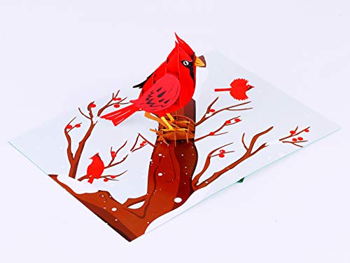 Liif Cardinal Bird 3D Greeting Pop Up Card, Winter, Christmas, Thanksgiving, Holiday Card, Fall, Xmas | With Message Note & Envelop | Size 7 X 5 #TOP2