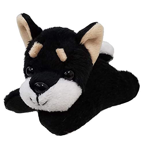 yBESTEVERzv~Aps[ ~j Premium Puppy Mini ʂ N[i[  Č Shiba Black 53103