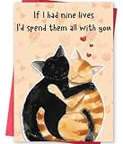 Missonemi Cute Anniversary Card & Gifts for Women Men Husband Wife Boyfriend Girlfriend, Cats Valentines Day Card, Funny Valentines Day Gifts for Him Her