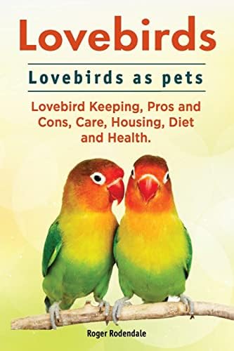 best diet for lovebirds that will transform their health and happiness 8 Lovebirds. Lovebirds as pets. Lovebird Keeping, Pros and Cons, Care, Housing, Diet and Health.