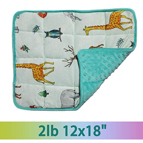 MAXTID Weighted Lap Pad for Toddler 2lbs Lap Blanket for Kids with Autism