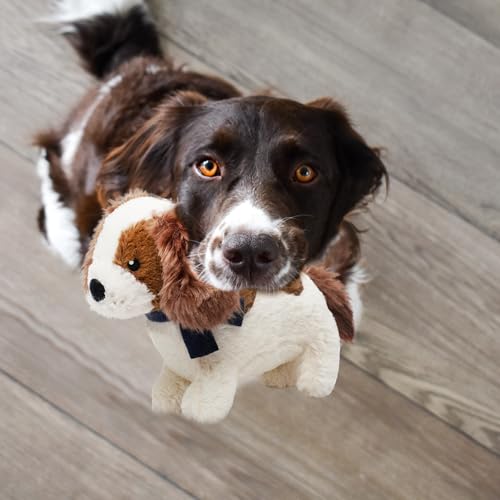 Fuzzl Charlie der King Charles Spaniel Plüschhund und Welpenspielzeug - Interaktives Hundespielzeug mit Quietscher und strapazierfähigen Nähten für kleine und große Hunde Quietschendes Hundespielzeug