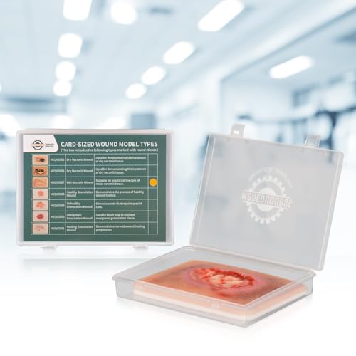 Image of Wet Necrotic Wound Simulation Model