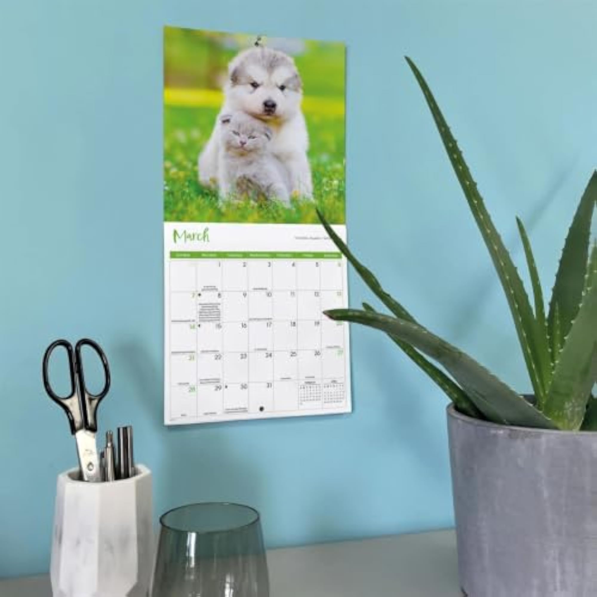 Mini Wall Calendar - Kitten and Puppy Photography