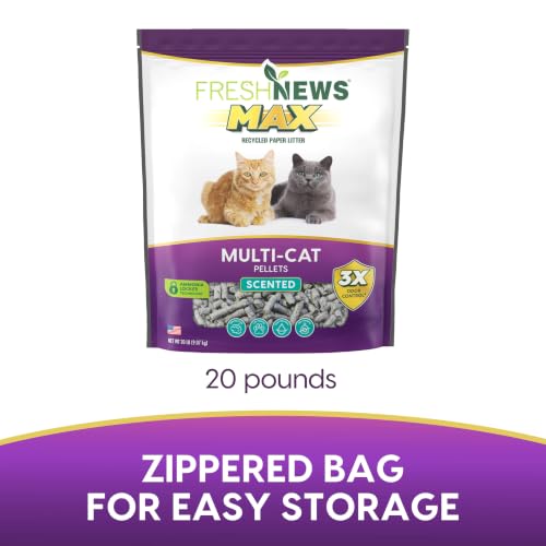 Image of Fresh News MAX Scented Multi-Cat Litter, Non-Clumping, 20 lb