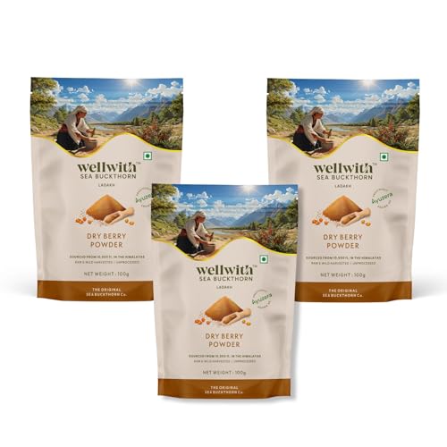 Wellwith by Ayuzera Himalayan Sea Buckthorn Berries Powder | Rich in Omega 3, 6, 7, 9 | Collagen, Fiber, Omegas, Vitamin C, Vitamin E | Dry Sea Buckthorn Berry Powder (300 Grams)