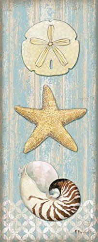 Buyartforless Spa Shells (Sand Dollar, Starfish Nautilus) Vertical I by Paul Brent 20x8 Art Print Poster Wall Decor Cottage Seaside Beach Seashells Ocean