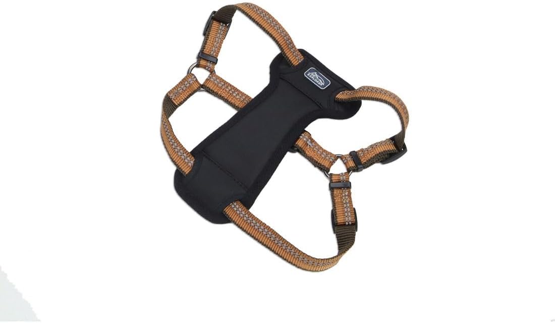 Coastal Pet K9 Explorer Reflective Adjustable Padded Dog Harness - Plush Chest Pad for Comfort - No-Pull Dog Harness for Small and Large Dogs - Campfire Orange - 1" x 20"-30", Medium
