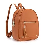 Montana West Mini Backpack Purse for Women Anti Theft Backpacks with Secured Zipper and Tassel