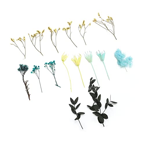Flores secas naturales para decoración de mesa miniatura 5