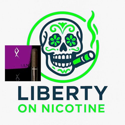 2 New Friends, Brady and the Obsidian