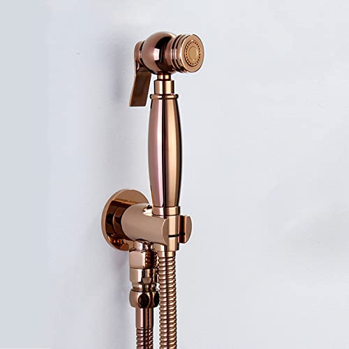 Pulvérisateur de bidet pour toilettes en laiton avec douchette wc or et flexible