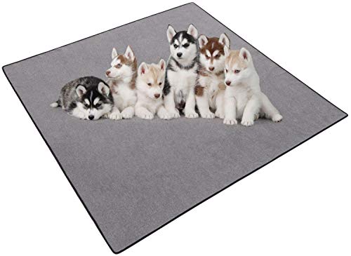 Tamu Style Dog Pen Mats (72” X 72”) Pet Pee Pads For Floor Protection, Crate Training, Indoor Whelping For Puppies, And Housebreaking, Non-Slip And Super Absorbent, Washable And Reusable #TOP6