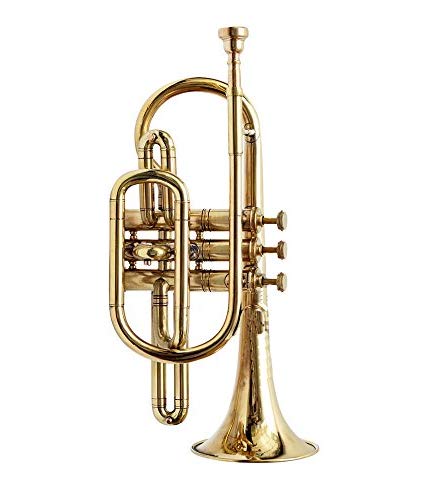 Sai Musical India Co-01, Cornet, Bb, Brass - Thumbnail 4