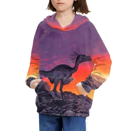 Hoodies for Boys Girls 3d Printed Dinosaur Hooded Sweatshirts Long Sleeve Pullover Hoody with Pocket 6-16Y4