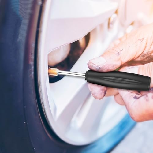 Image of Psyqtsuary 2 Pieces Valve Core Torque Tool Screwdriver Tire Valve Stem Core Remover Tool Valve Core Removal and Installation Tools for All Standard, Silver