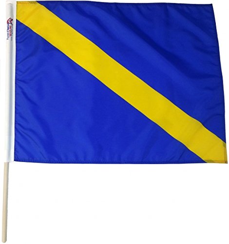 What Does A Blue Flag Mean In Racing