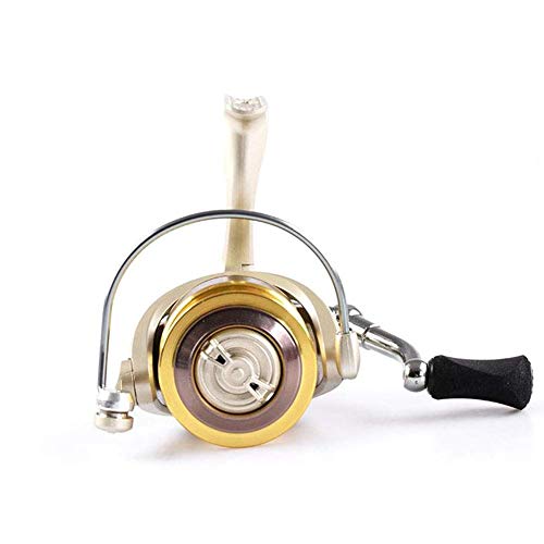 Wykdl Power Assist Reels Fishing Reels Spinning Reel - Fishing Rod Angling Rod - Professional Metal Cup Spinning Fishing Lure Wheel (Size : 3000) #TOP3
