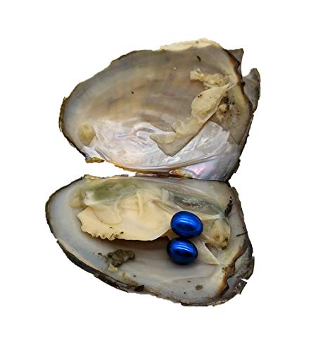 10pcs Oysters With Twins Oval Rice Pearls Inside Two Pearls Inside Each Oyster(20 Pearls In Total)