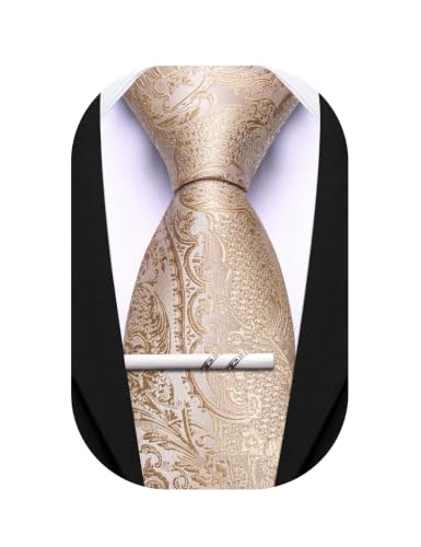 Image of Barry.Wang Paisley Tie for Men Silk Woven Necktie and Tie Clip Set Wedding Party Business Formal