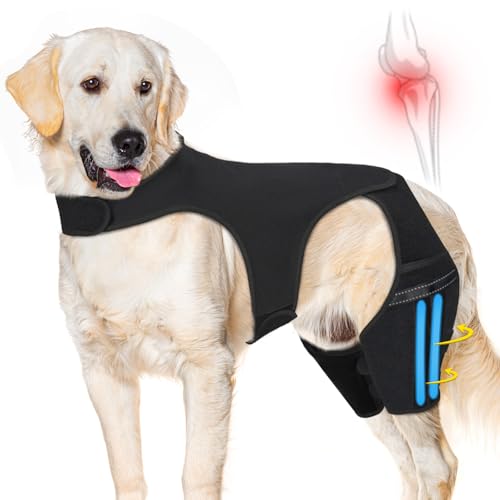 Image of Dog Knee Brace for Back Leg Fit Extra Large Dogs Metal Splint Hinged Flexible Support Dog ACL Hip Brace with 2 Metal Strips for Hip Dysplasia, CCL, Ligament Injuries & Osteoarthritis (XL)
