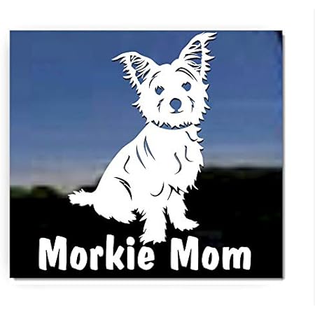 morkie items