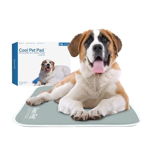 Extra Large Green Pet Shop Cooler