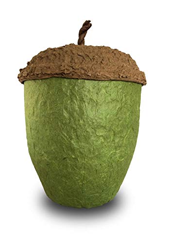 Aesthetic Urns Biodegradable Ashes Urn Cremation Urn for Ashes Adults Large Eco Urn Bio Memorial Acorn