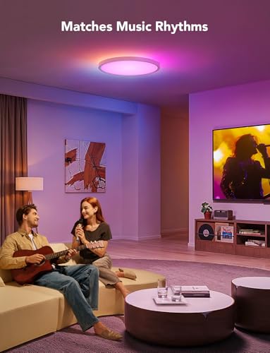 Smart Ceiling Light with Music Speaker