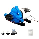 12V DC RV Wasserpumpe, Membranpumpe 11,6 L/min, 45 PSI, selbstansaugend, mit Druckschalter, Überhitzungsschutz, abnehmbarem Filter, ideal für Wohnmobile, Camper und Boote, Druckwasserpumpe