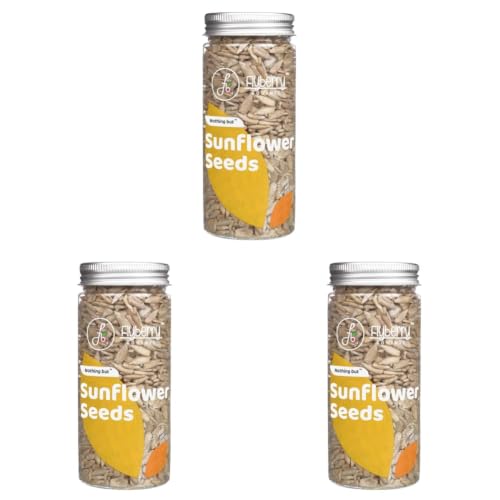 Image of Flyberry Gourmet Sunflower Seeds, 150g (Pack of 3)