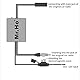 Mr.Ho Universal Auto Antenne Signal Verstärker FM AM für Fahrzeug 12V KFZ Audio Stereo Radio Autoradio Verstärker Antennenverstärker Booster