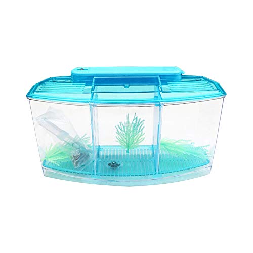 HXHON Acuario Mini pecera transparente Betta Fish Crieder Fish Bowl con luz LED, divisor, filtro (azul)