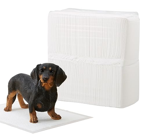 R ybgV[c ^ M[ 800 Ch 400 X[p[Ch 200 EgCh 100 zCg  e z R L gCV[g (M[)