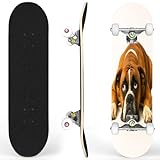 Skateboards for Beginners English Bulldog Lying Down Looking up Complete Skateboard...