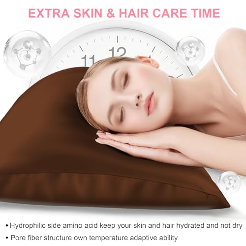 Mulberry Silk Pillow Cases 2 Pack Standard Size 20x26 Inches with Hidden Zipper, Ultra Smooth and Soft Breathable Cooling Silk Satin Pillowcase Set of 2, Better for Hair and Skin, Gifts for Women Men