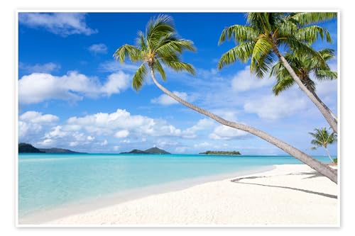 Posterlounge Plage blanche avec palmiers à Tahiti Poster de Jan Christopher Becke 30 x 20 cm Turquoise Tableaux Décoration murale