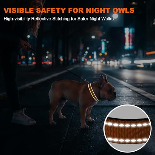 Taglory Hundehalsband, Weich Gepolstertes Neopren Nylon Hunde Halsband für Kleine Hunde, Verstellbare und Reflektierend für das Training, Braun